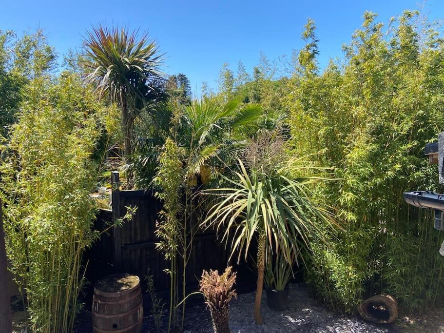 Jungle Cabin Martin Mill المظهر الخارجي الصورة