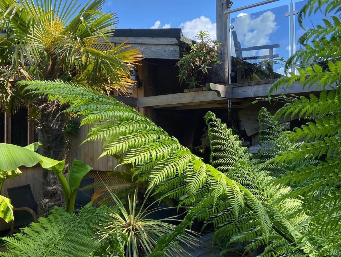 Jungle Cabin Martin Mill المظهر الخارجي الصورة