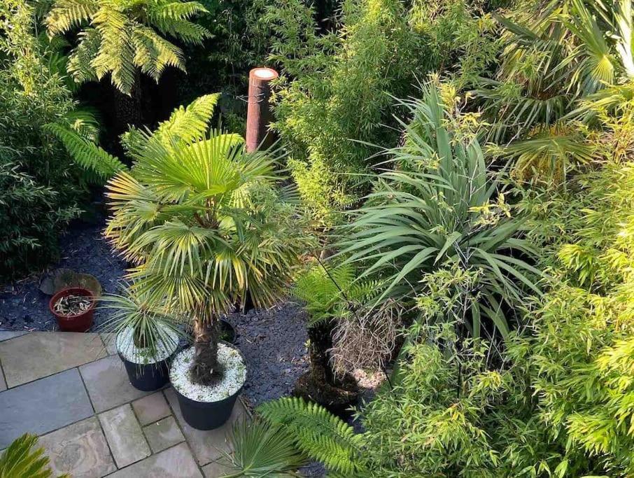 Jungle Cabin Martin Mill المظهر الخارجي الصورة