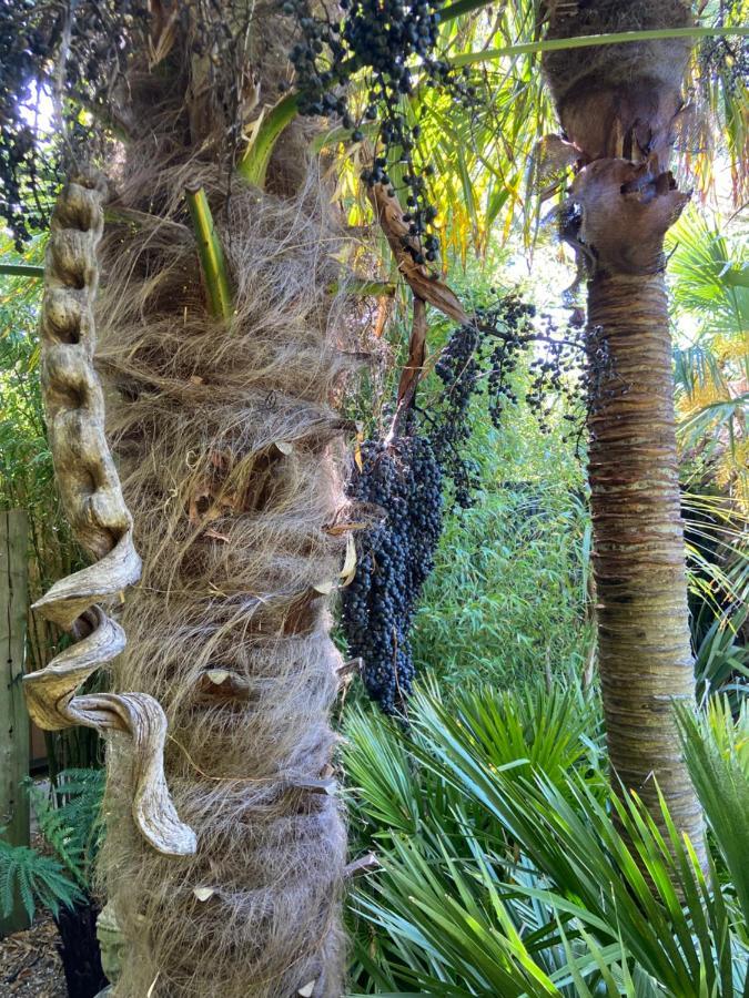 Jungle Cabin Martin Mill المظهر الخارجي الصورة