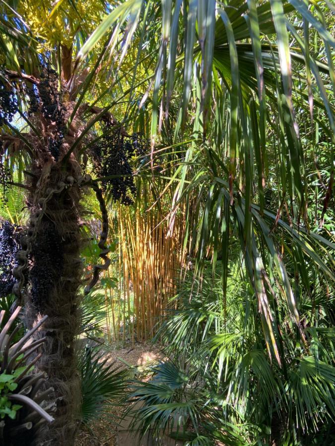 Jungle Cabin Martin Mill المظهر الخارجي الصورة