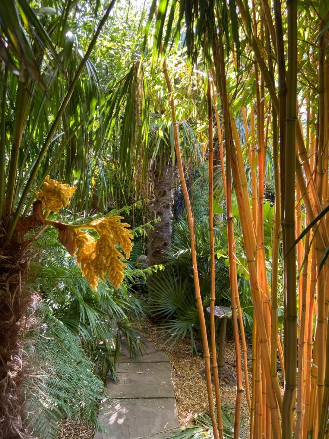 Jungle Cabin Martin Mill المظهر الخارجي الصورة