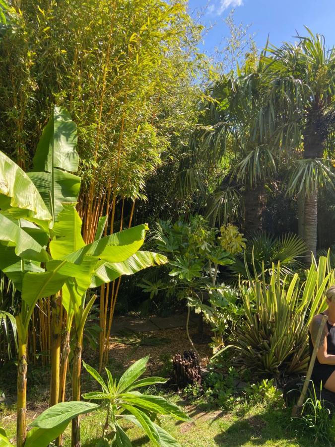 Jungle Cabin Martin Mill المظهر الخارجي الصورة