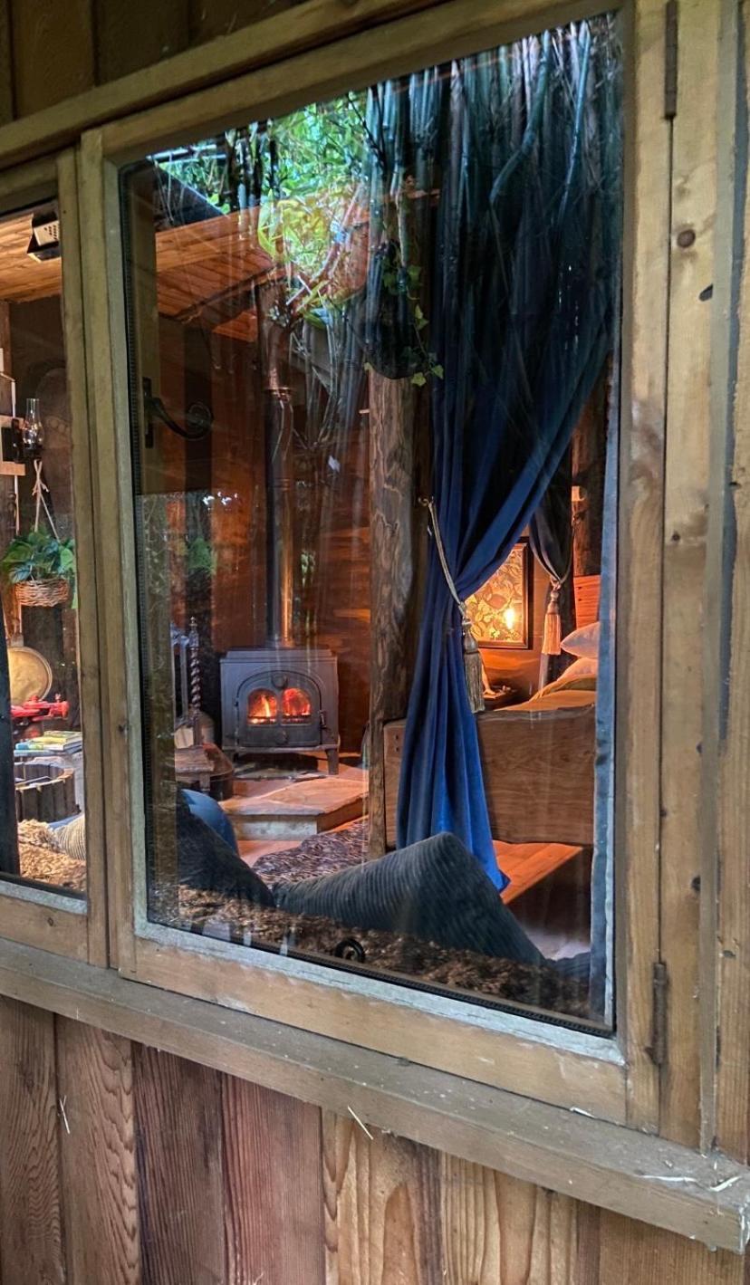 Jungle Cabin Martin Mill المظهر الخارجي الصورة
