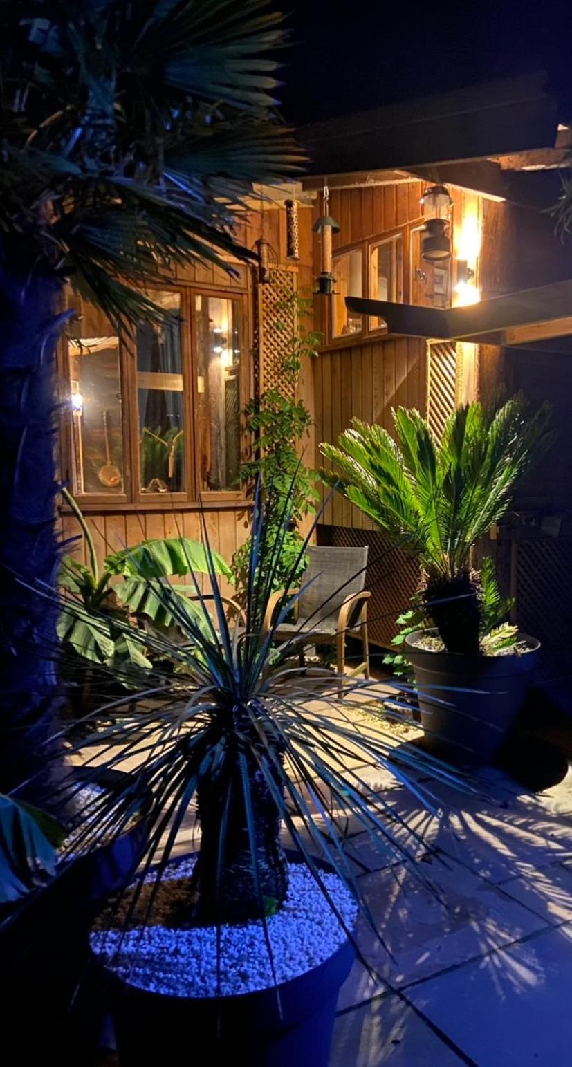 Jungle Cabin Martin Mill المظهر الخارجي الصورة