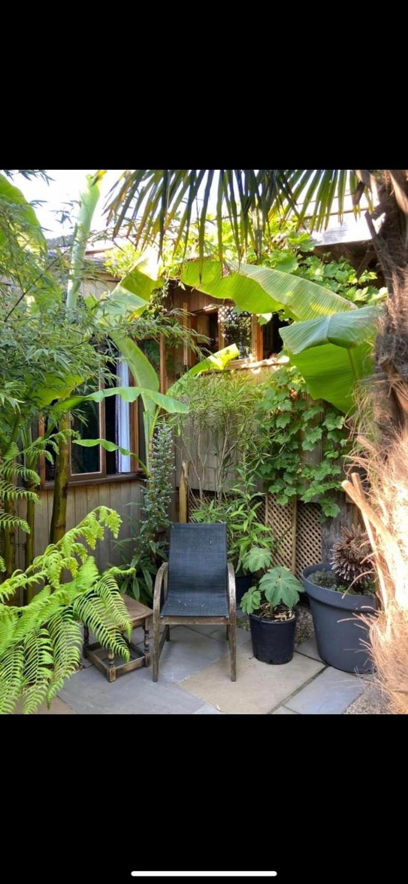 Jungle Cabin Martin Mill المظهر الخارجي الصورة