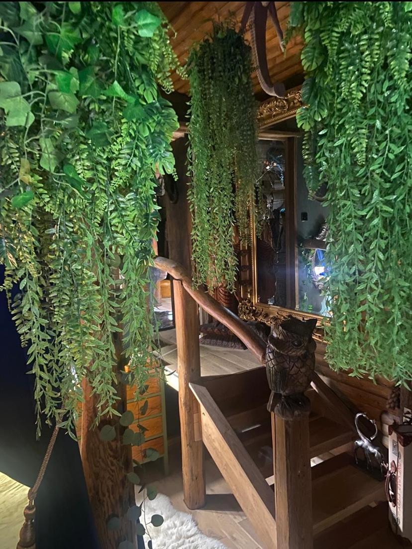 Jungle Cabin Martin Mill المظهر الخارجي الصورة